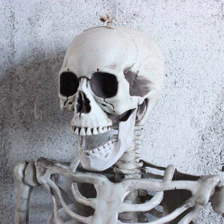 Halloween Posable Skeleton Prop 5ft Funny Giant Yard Skull Decor