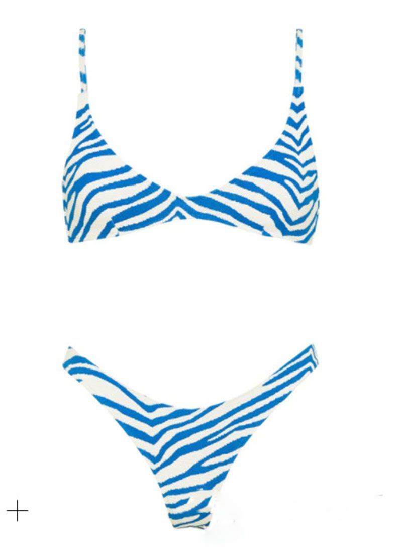 Zebra Stripes Scoop Neck Bikini Top And Bottom